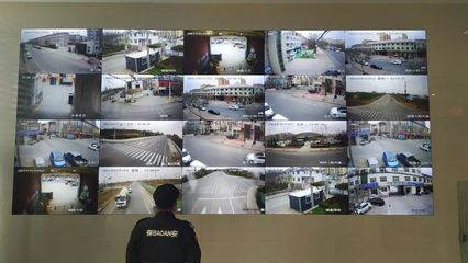 “小”網格筑牢“大”保障 濱北街道推動網格服務精細化系統監控服務實踐